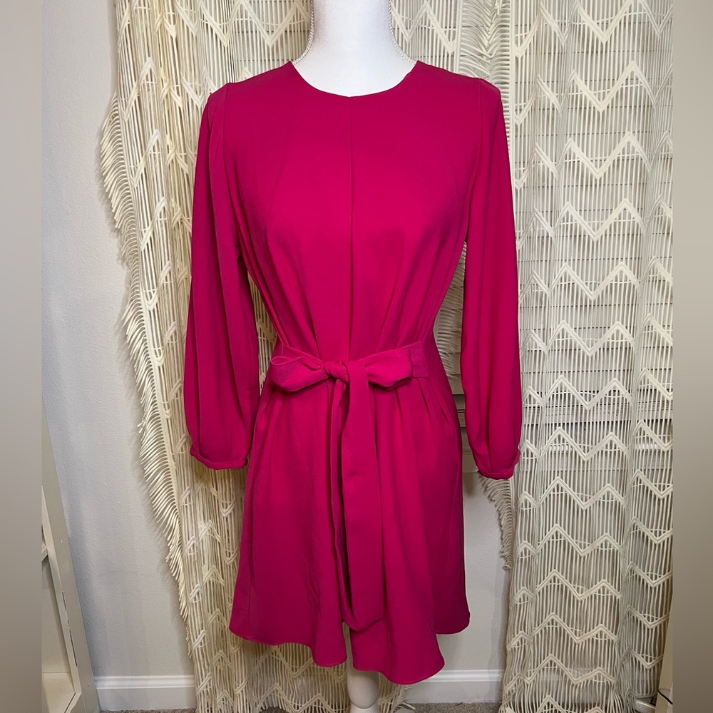 NWT Zara Mod Long Sleeve Dress Pink Size Small New